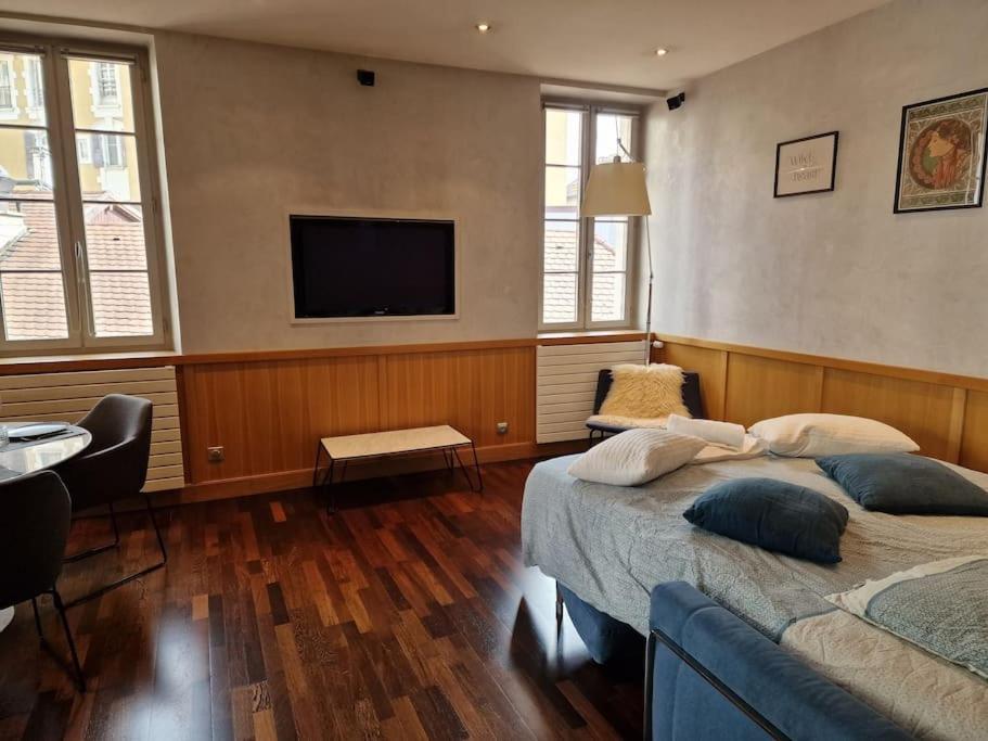 Appartement Annecy Centre Historique Parking Inclus Bagian luar foto